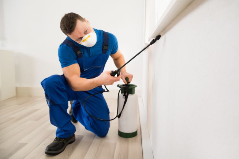 Carpet Beetle Extermination in Katy, TX