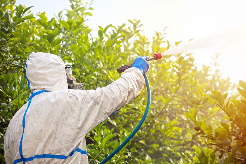 Spider Fumigation Service in Gwinnett County, GA