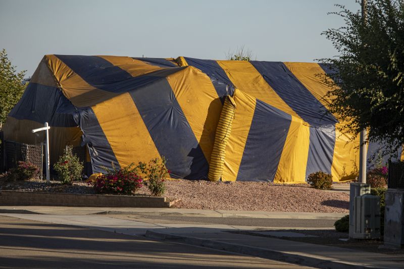 Termite Tenting in Fort Myers, FL