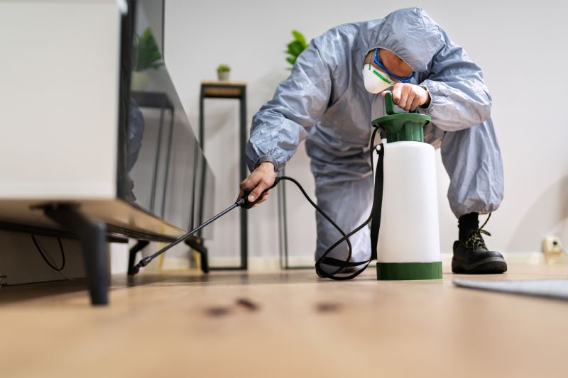 Fumigation Service in San Jose, CA